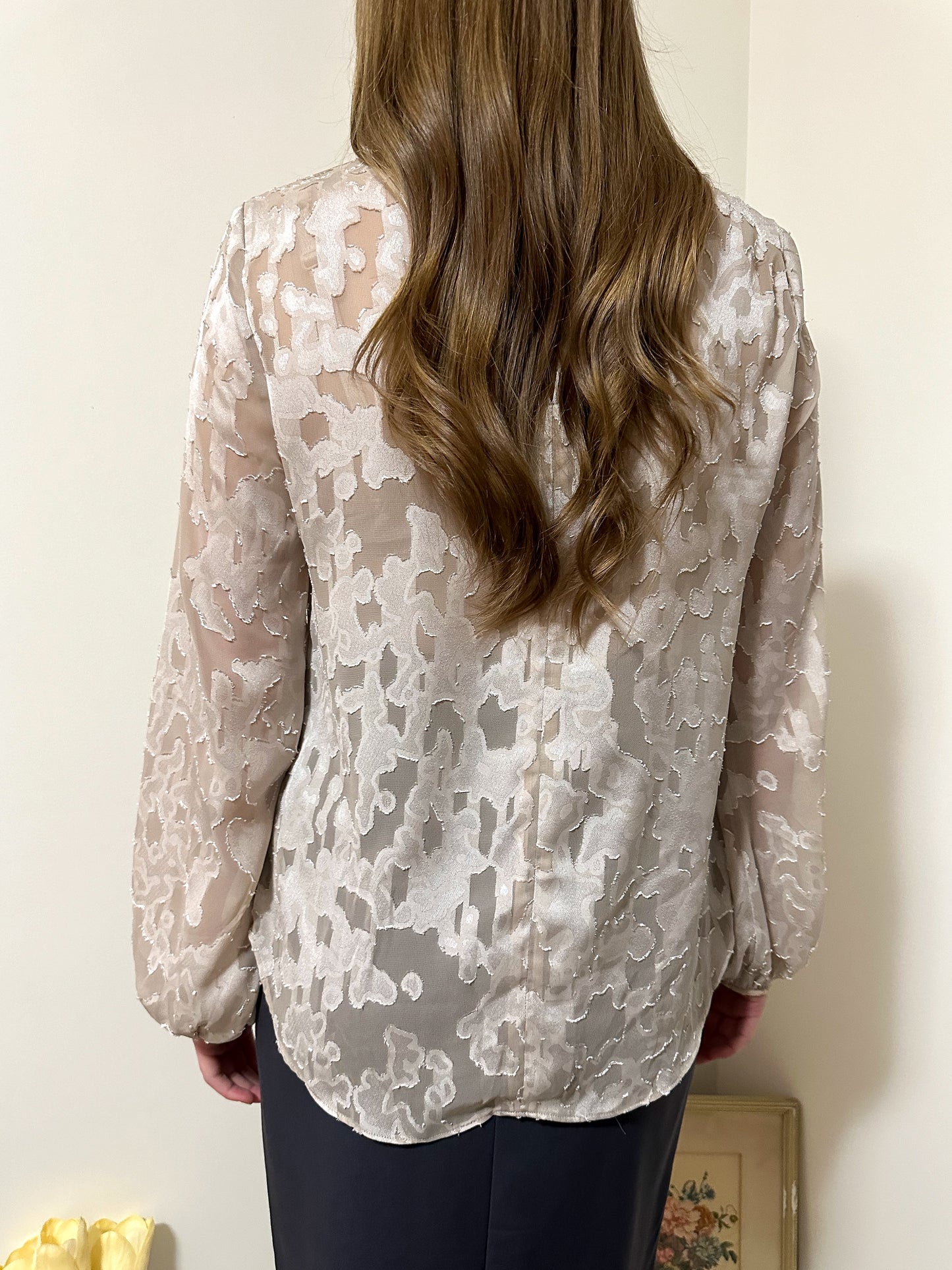 Babaton Sheer Champagne Blouse (L)